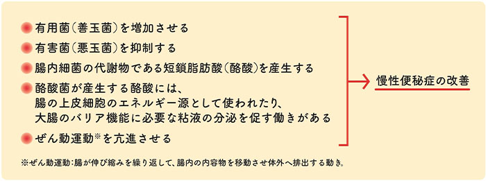 酪酸菌の効果